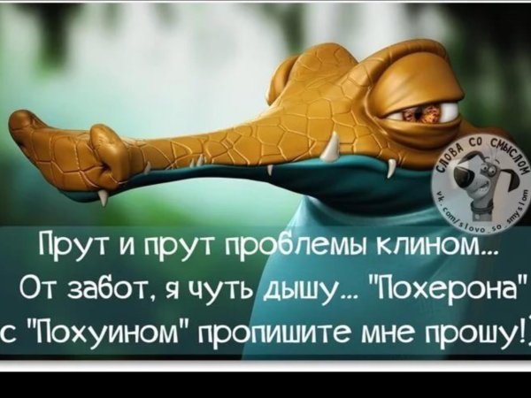Цитаты позитивные смешные