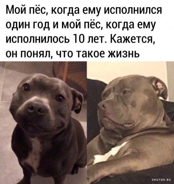 Мемы жизненные ситуации с надписями