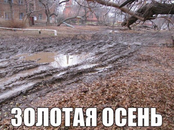 Осенние демотиваторы