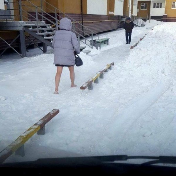 Снег смешное