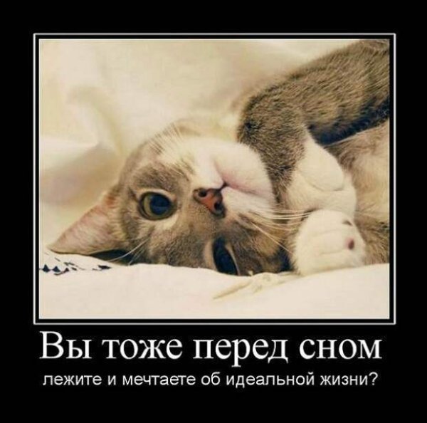 Прикольные картинки про сон