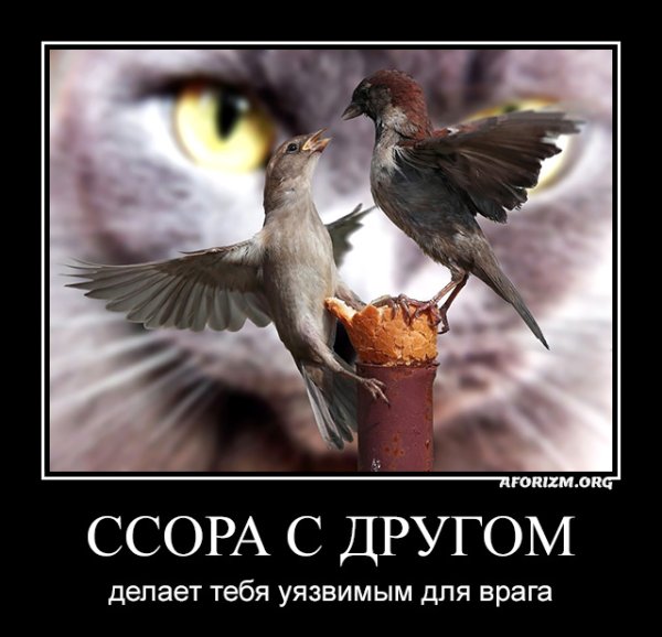 Демотиваторы про ссоры