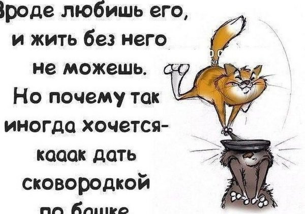 Смешные высказывания
