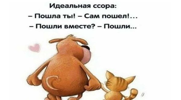 Идеальная ссора