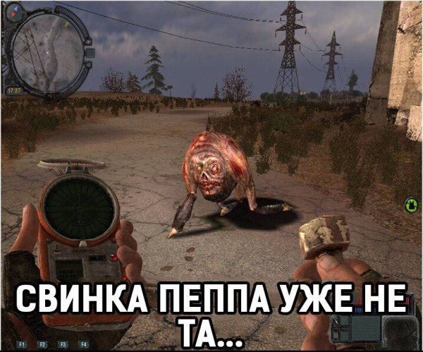 Сталкер приколы