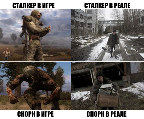 Мемы по сталкеру