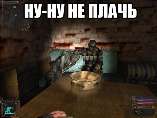 Сталкер приколы