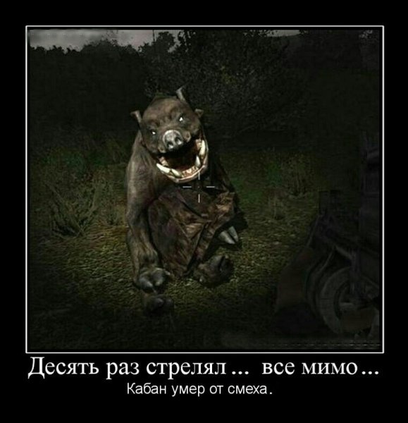 Анекдоты сталкер