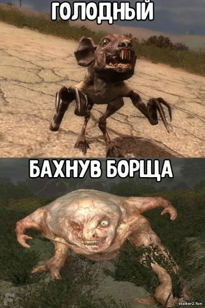 Сталкер Мем