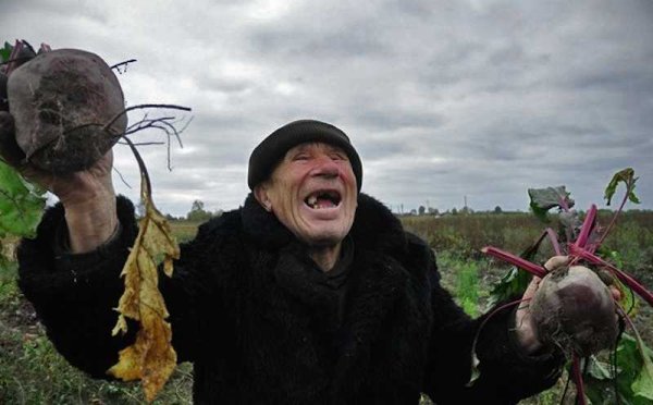 Смешная свекла