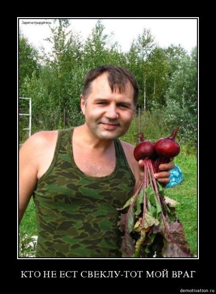 Редиска прикол