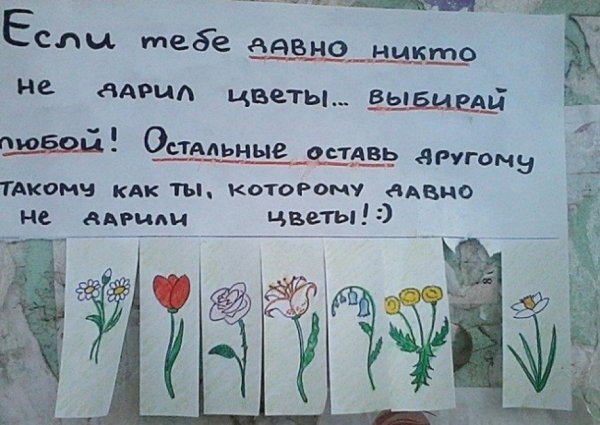 Прикольные надписи про цветы