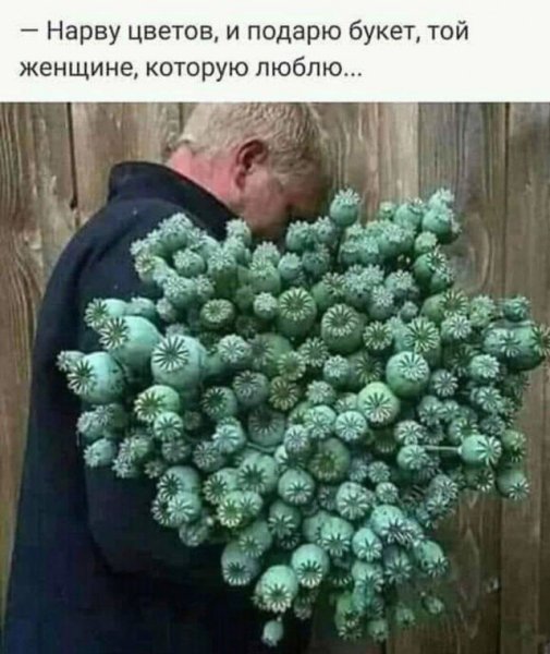 Шутки про букеты цветов