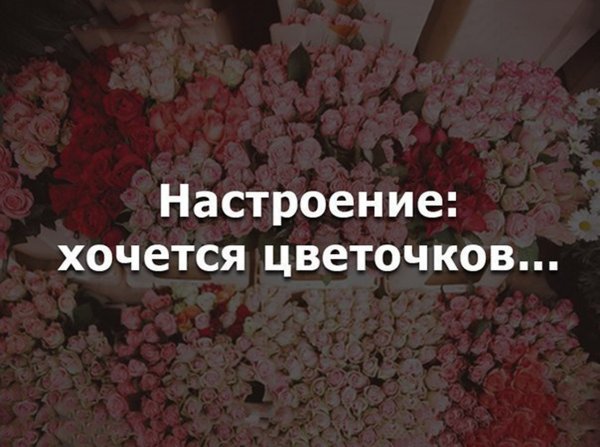 Как хочется цветочков