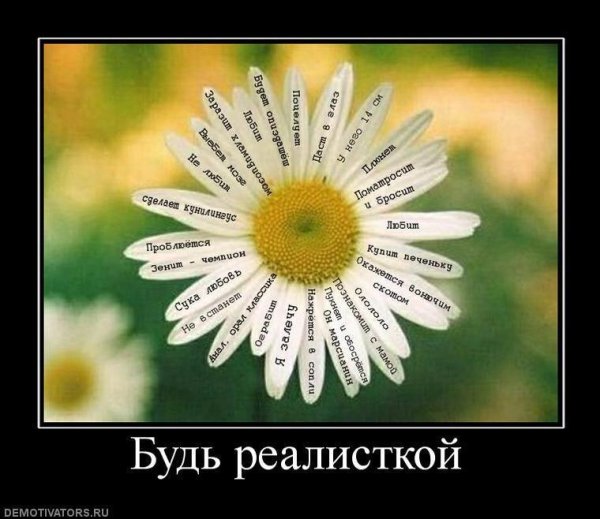 Шутки про ромашки