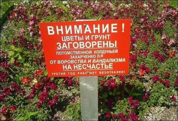 Таблички для клумбы