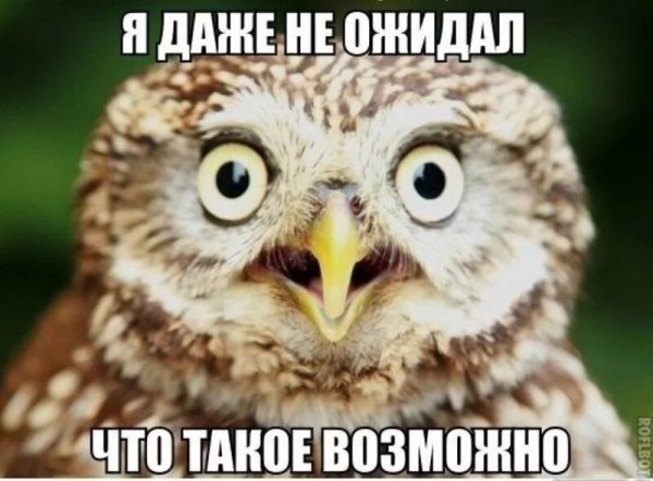 Я В шоке картинки