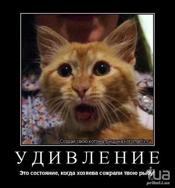 Фразы про удивление смешные