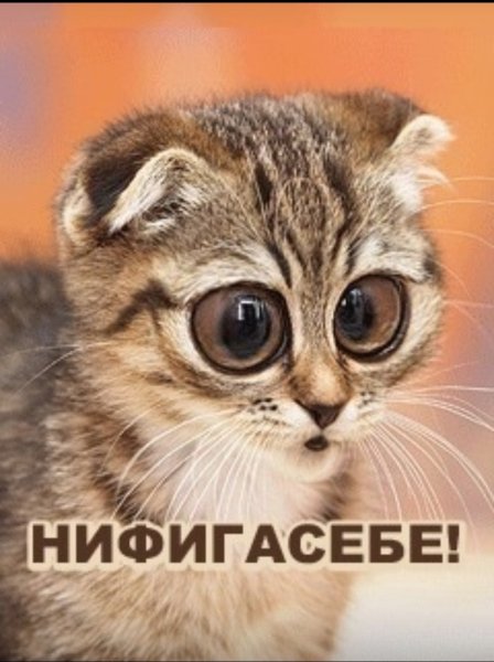 Открытка офигеть