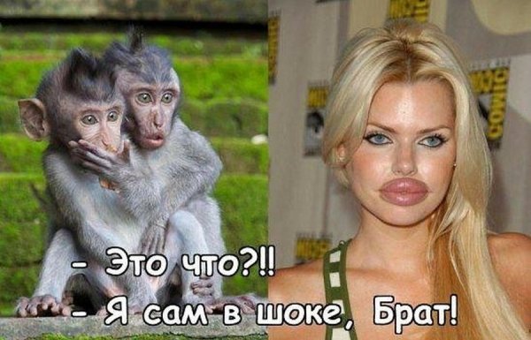 Я В шоке картинки