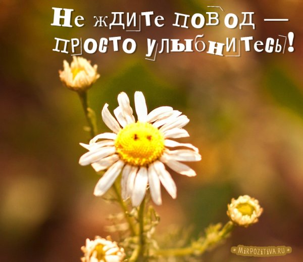 Позитивные высказывания