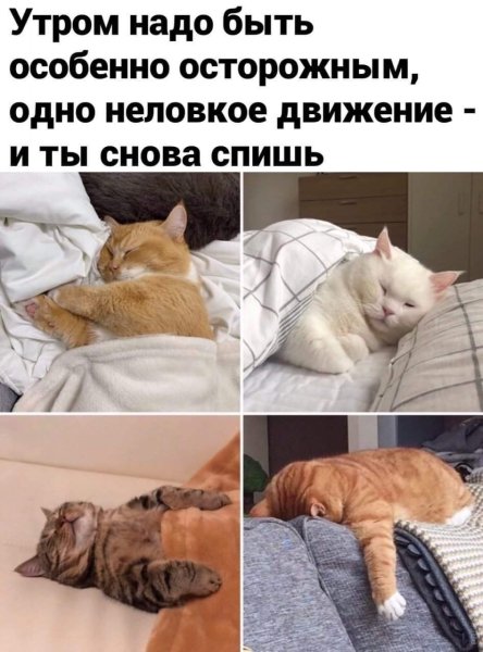 Одно неловкое движение и ты снова спишь