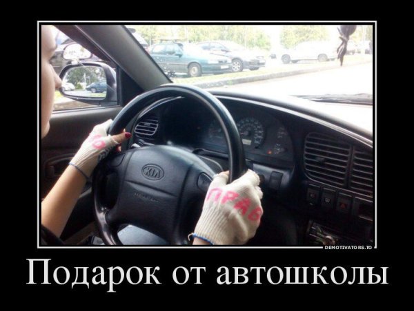 Автошкола приколы