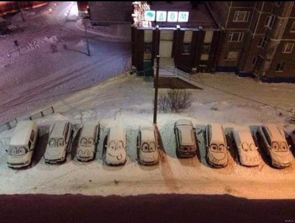 Картинки приколы