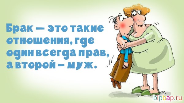 Приколы про мужа