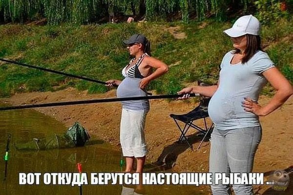 Картинки прикольные смешные с надписями