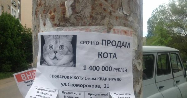 Объявления приколы
