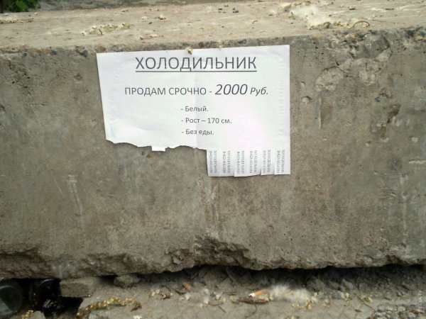 Смешные надписи