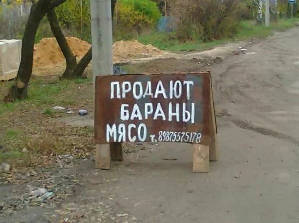 Приколы с надписями