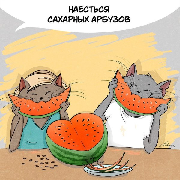 Приколы про август