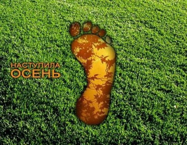 Осень наступила прикол