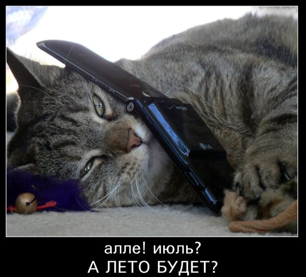 Приколы о лете