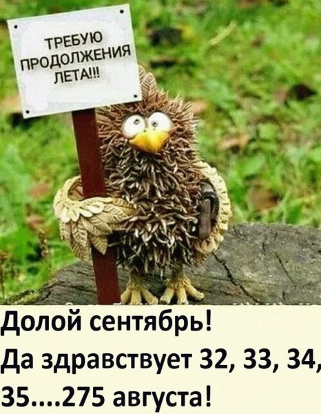Требую продолжения лета долой