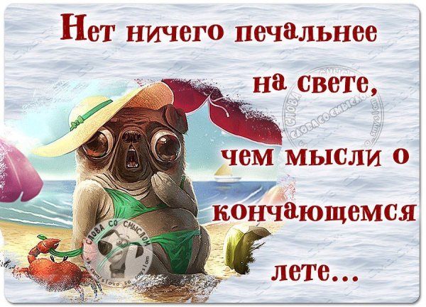 Афоризмы про отпуск