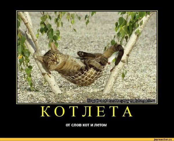 Лето юмор