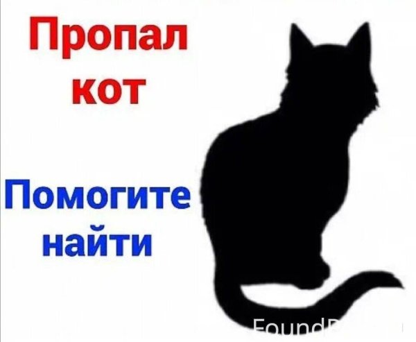 Помогите потерялся кот