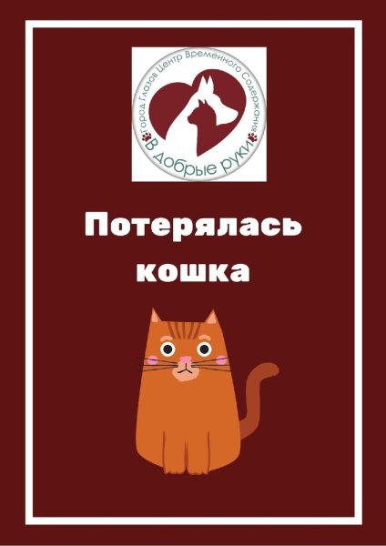 Потерялся кот картинки