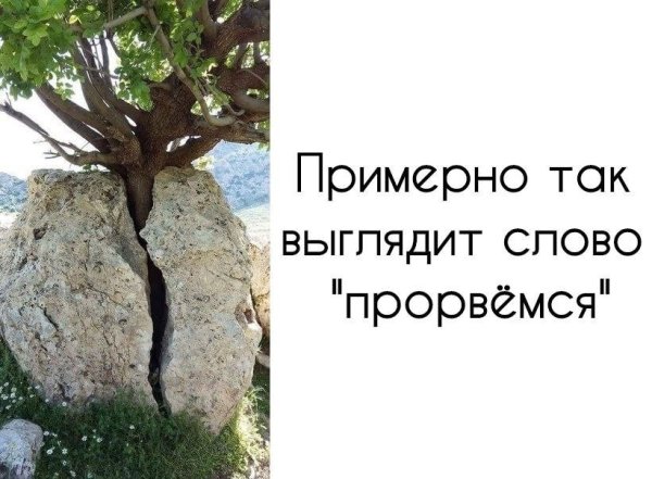 Открытка Прорвемся прикольная