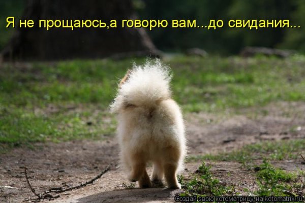 Смешные прощальные картинки