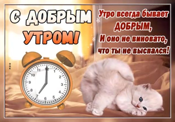Проснулись с добрым утром