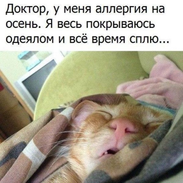 Вставай будильник звонит