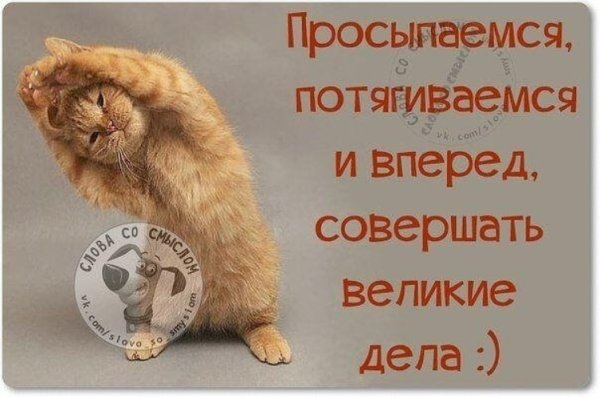 Пора вставать