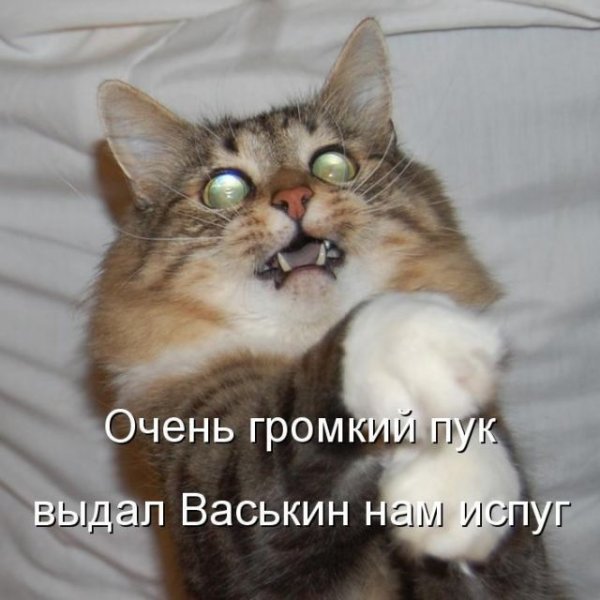 Стихотворение про пук