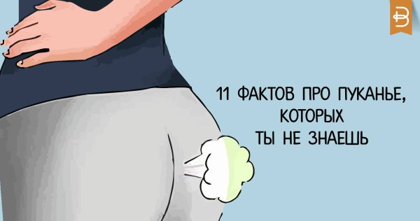 11 Фактов про Пуканье