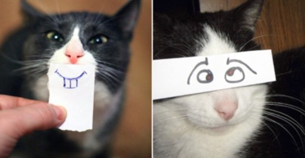 Котэ пятница