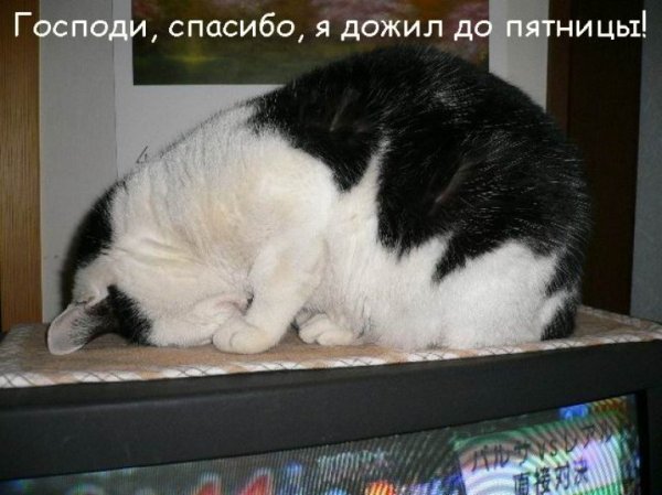 С пятницей наконец то дожили